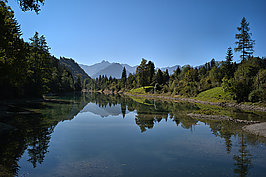 Fischen Rubi (1v9)_t.jpg